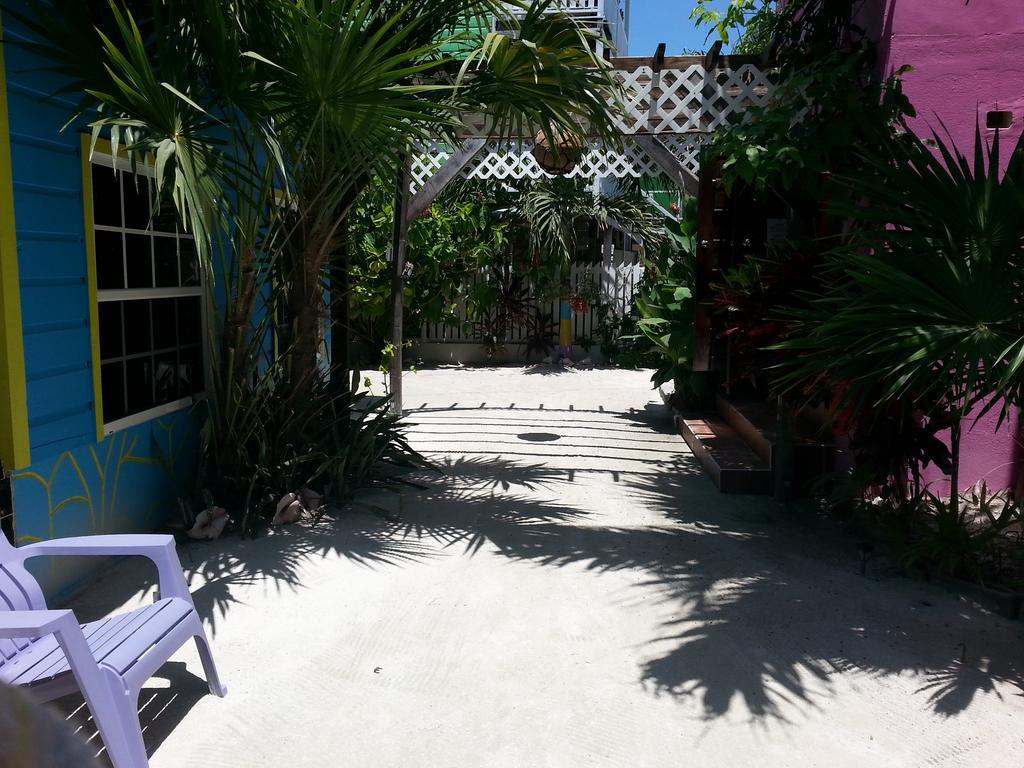 Sea N Sun Guest House Caye Caulker Exteriör bild