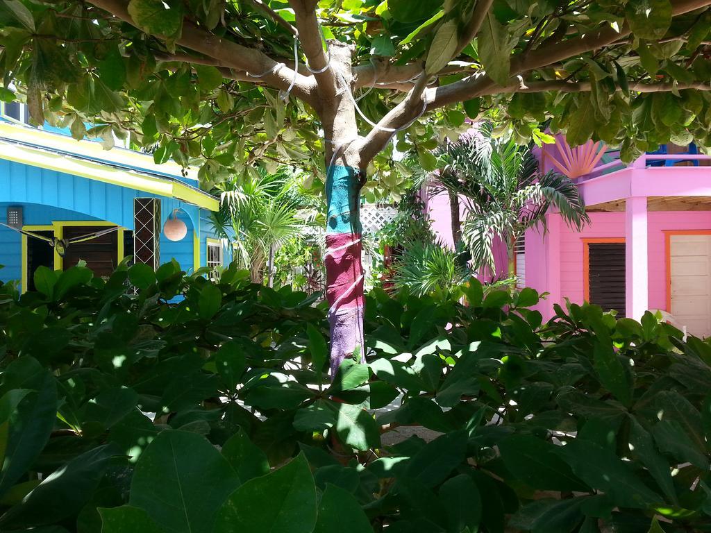 Sea N Sun Guest House Caye Caulker Exteriör bild
