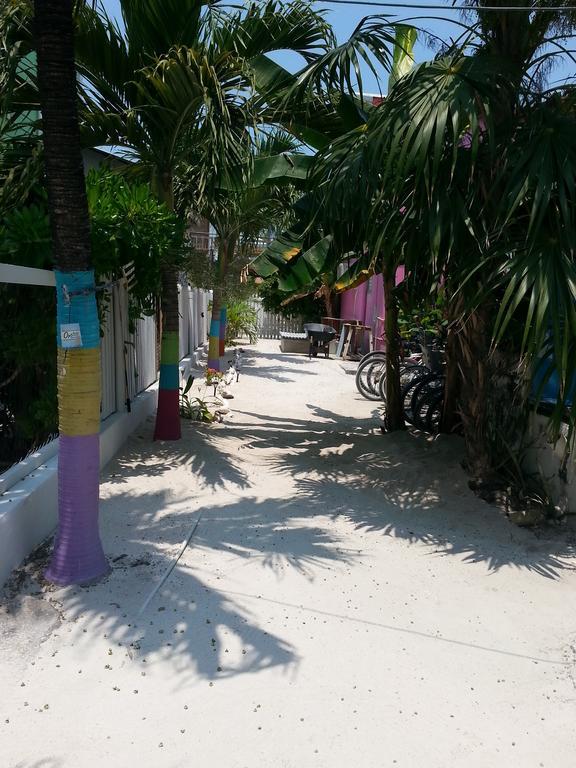 Sea N Sun Guest House Caye Caulker Exteriör bild